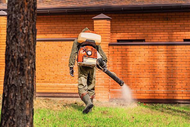Trusted Termite Control service in Cañon City, CO - Nex Pest Control